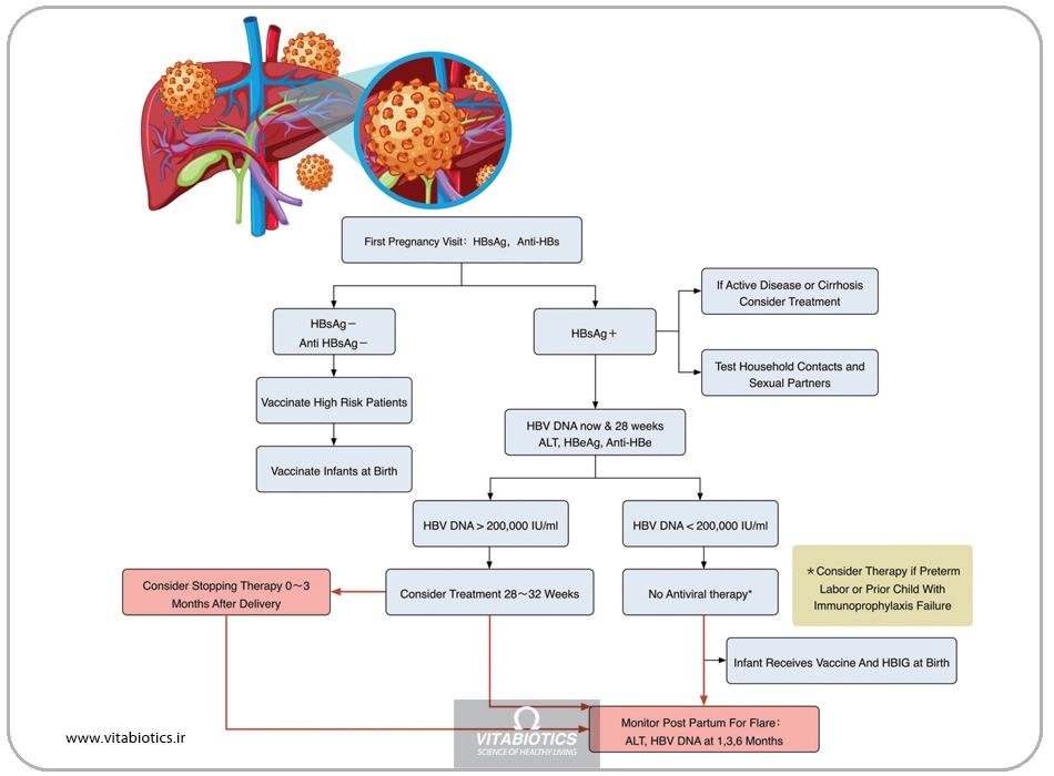 هپاتیت ویروسی در بارداری 