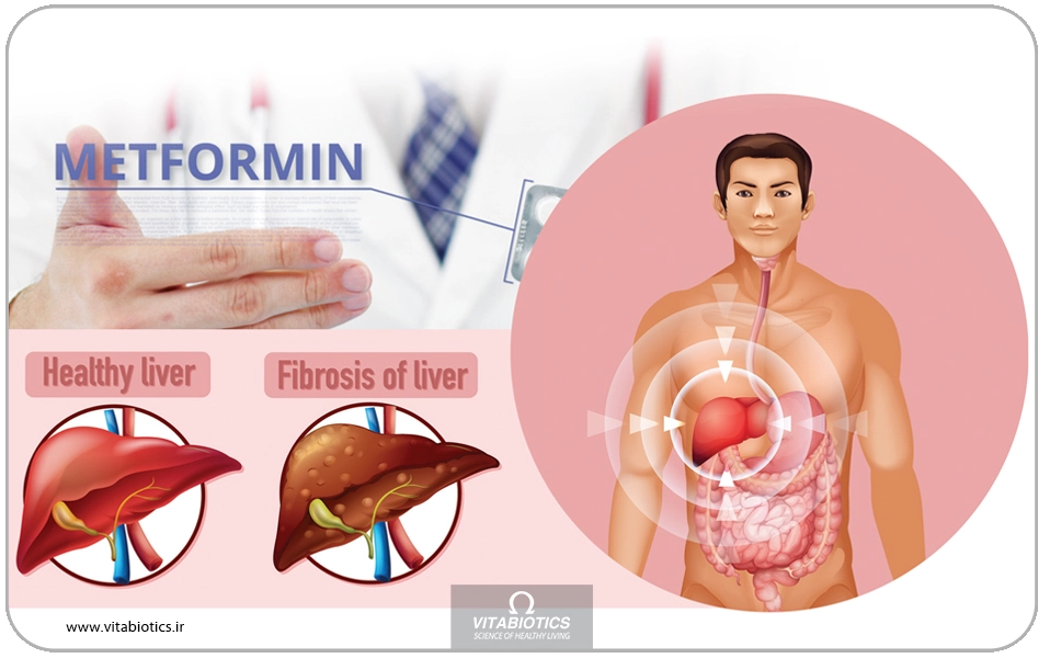 دلایل به وجود آمدن فیبروز کبدی گوناگون است و از جمله آنها می‌توان به هپاتیت B و C، تخریب بافت کبدی در اثر دارو، الکل یا کبد چرب غیرالکلی اشاره کرد.